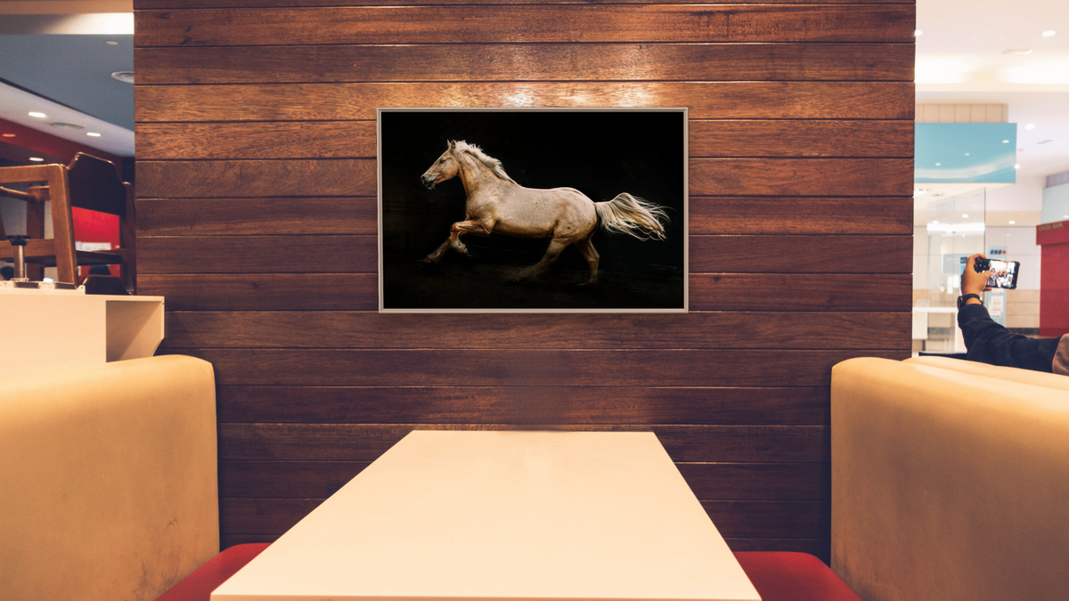 In Flight by Brandon Luther, shown at 28 × 42 in (71.1 × 106.7 cm) on canvas in Ramino Opaque White, restaurant