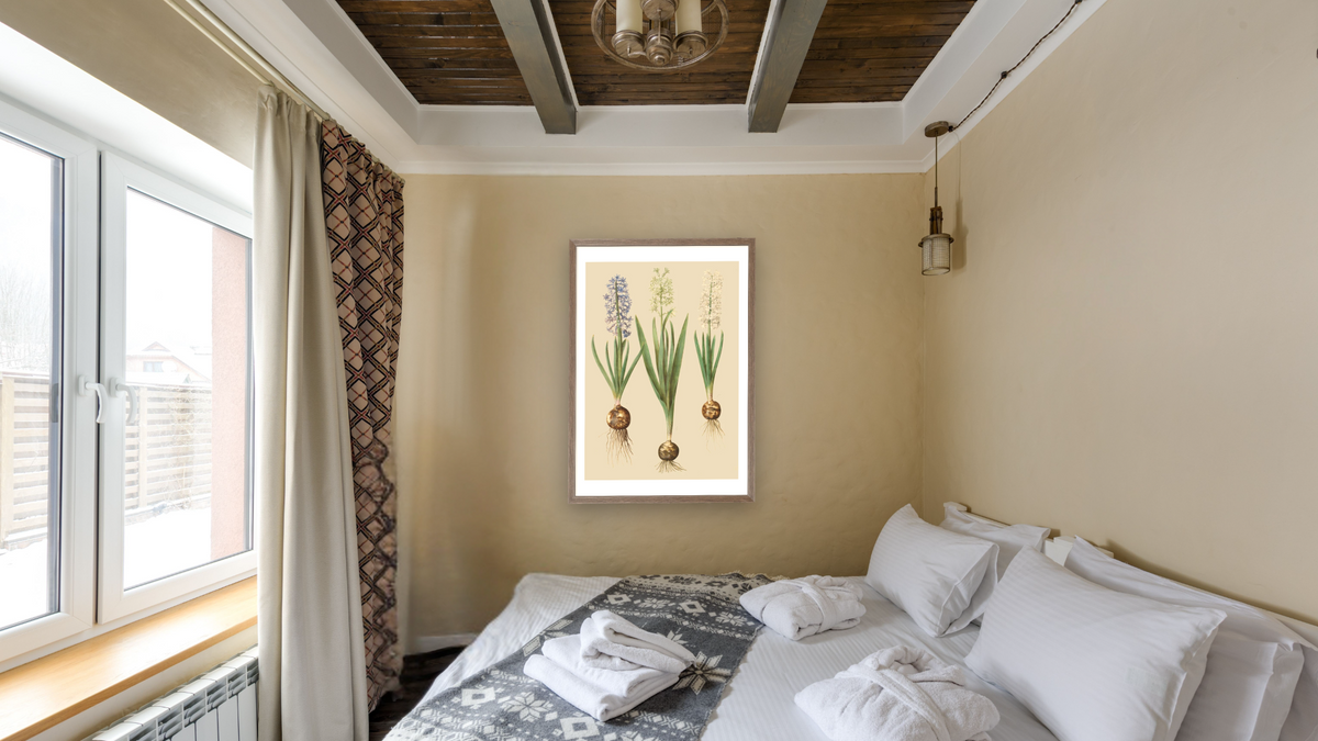 Hyacinthoides orientalis simp et pl by Johannes Simon Holtzbecher, shown at 28 × 42 in (71.1 × 106.7 cm) in Arber Light Walnut, hotel guest room