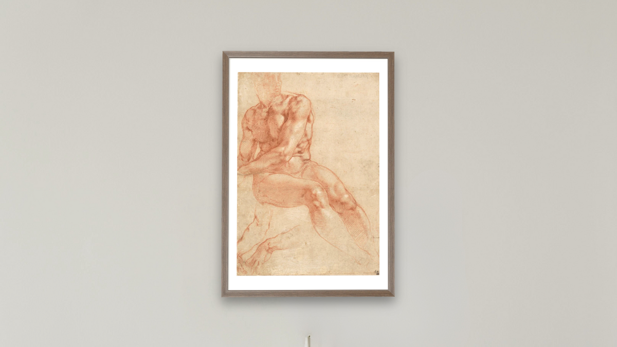 Seated Young Male Nude and Two Arm Studies (recto) by Michelangelo Buonarroti, shown at 28 × 42 in (71.1 × 106.7 cm) in Arber Light Walnut, boardroom