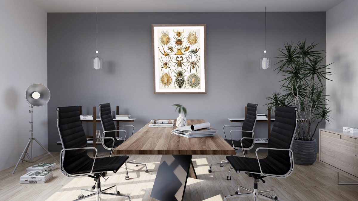 Illustration of Arachnida by Ernst Haeckel, shown at 30 × 40 in (76.2 × 101.6 cm) in Arber Light Walnut, boardroom