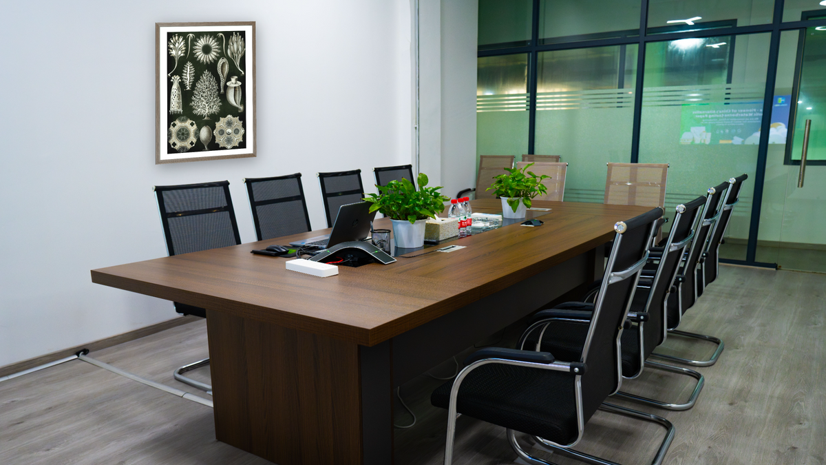 Illustration of Calcispongiae by Ernst Haeckel, shown at 30 × 40 in (76.2 × 101.6 cm) in Arber Light Walnut, boardroom